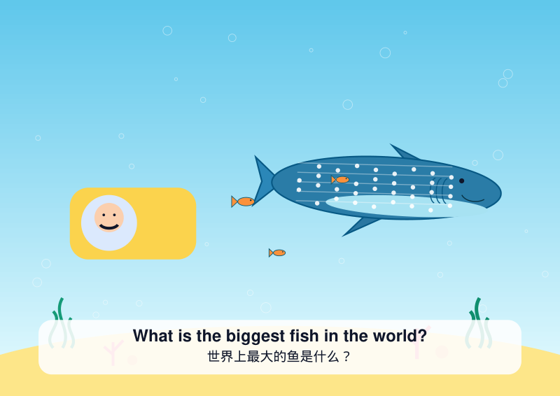 Largest Fish Whale Shark
